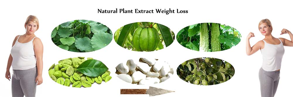 WEIGHT LOSS