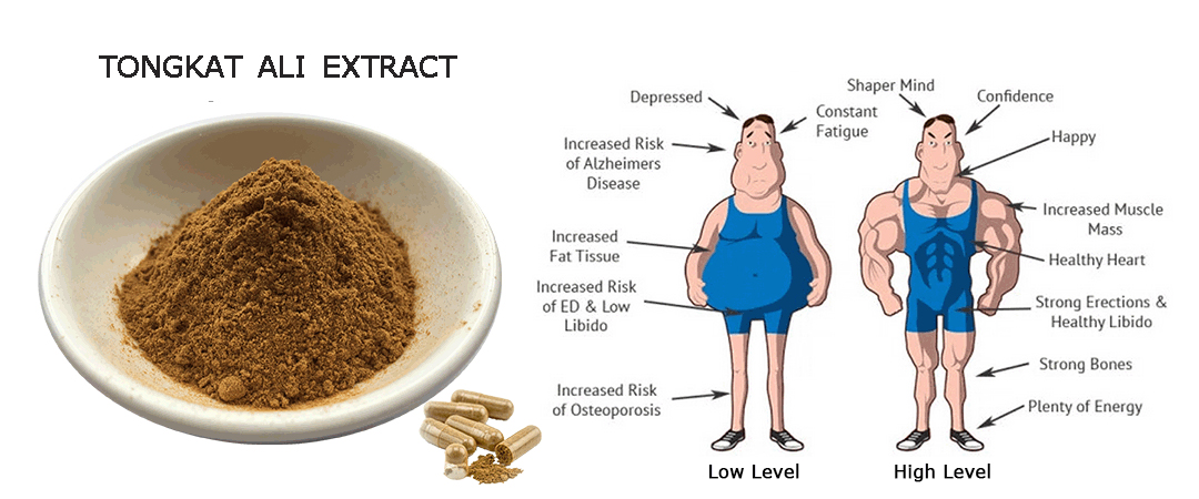 Tongkat Ali Increase testosterone level 东革阿里提升睾酮素水平