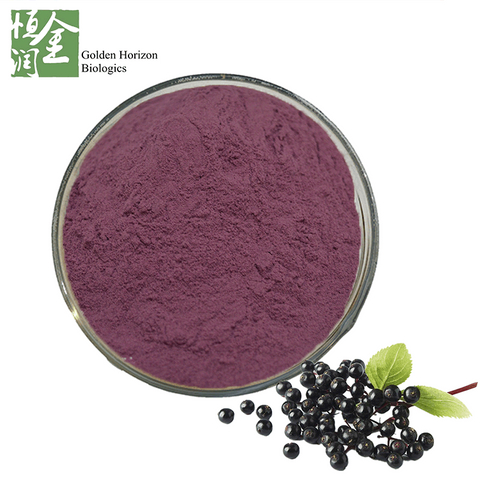 ISO/KOSHER Certified Sambucus Elderberry Extract Food Additives