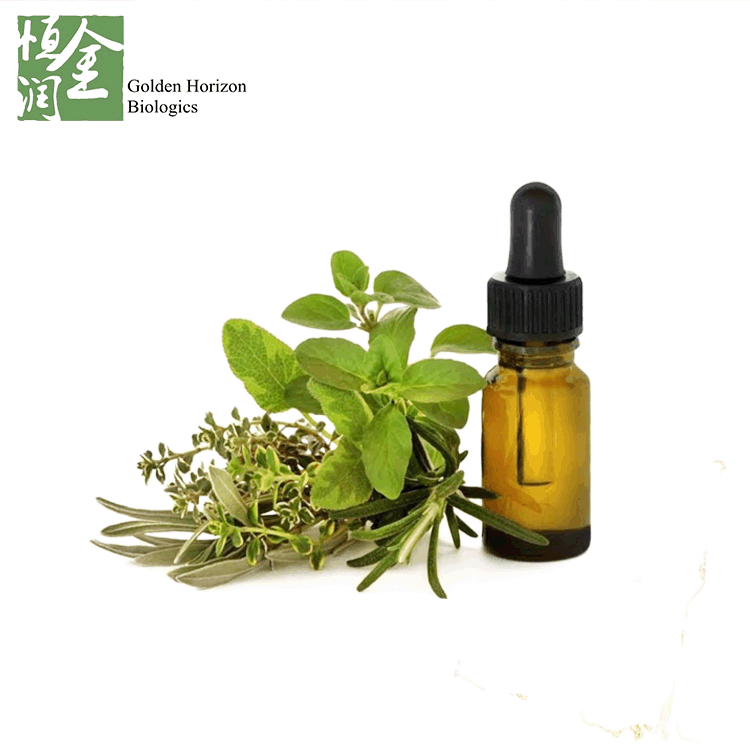 Wholesale Wild Oregano Oil 90% Carvacrol - Buy plant Origanum vulgare
