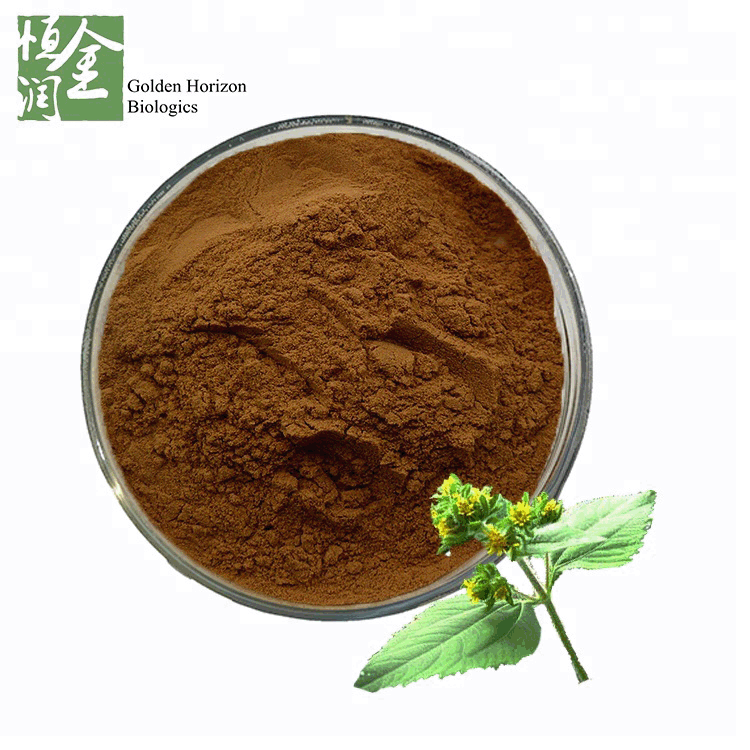 Chinese Herb Extract Siegesbeckiae Extract Powder As Herbal Supplements Ingredients