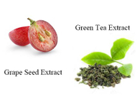 The Rearch of Grape Seed Extract and Green Tea Extract Application in Food Industry