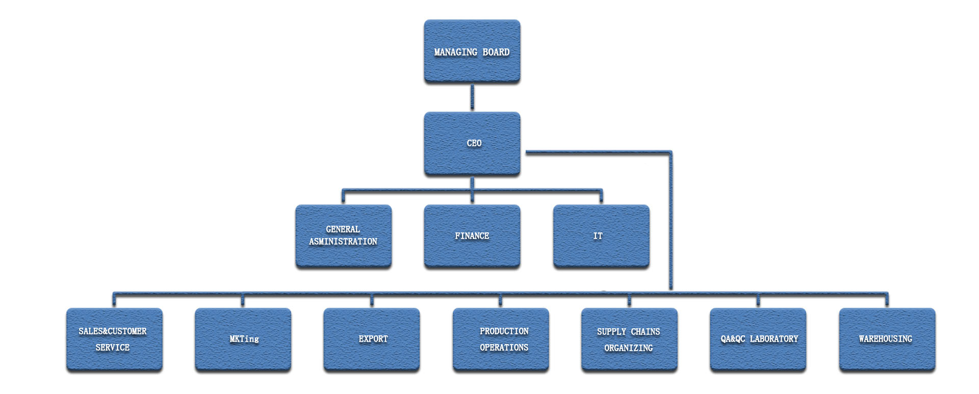 organization chart