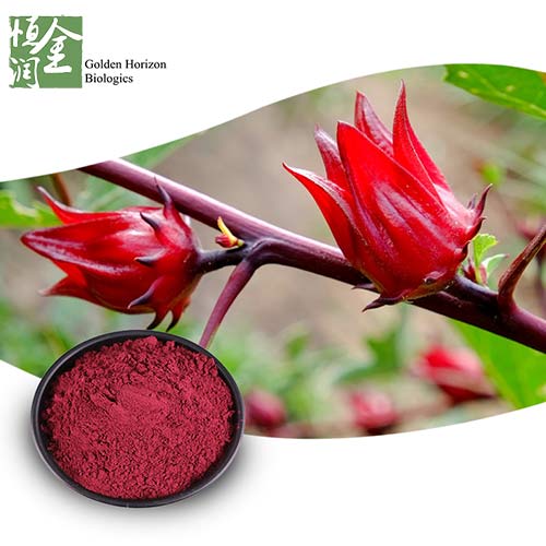 Hot Selling Hibiscus Flower Extract Roselle Extract 