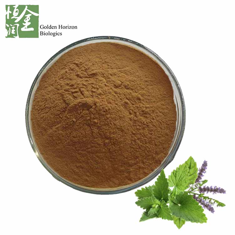 Medical Grade Pogostemon Cablin / Patchouli Plants / Agastache Rugosa Extract